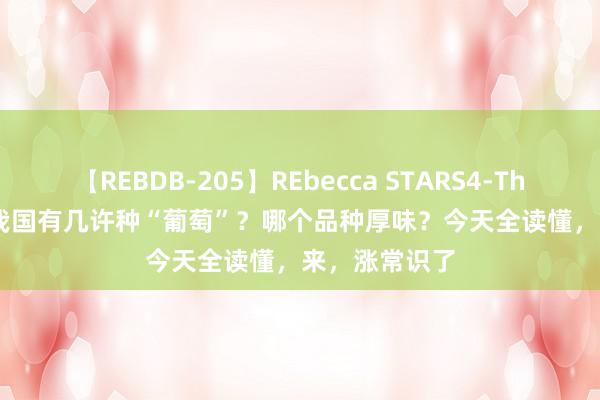 【REBDB-205】REbecca STARS4-The queens- 我国有几许种“葡萄”？哪个品种厚味？今天全读懂，来，涨常识了