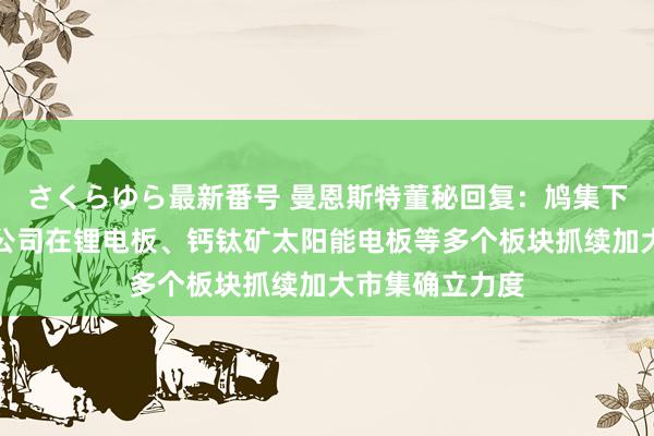 さくらゆら最新番号 曼恩斯特董秘回复：鸠集下搭客户需求，公司在锂电板、钙钛矿太阳能电板等多个板块抓续加大市集确立力度