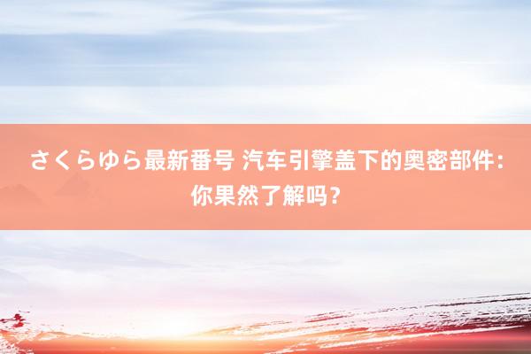 さくらゆら最新番号 汽车引擎盖下的奥密部件：你果然了解吗？