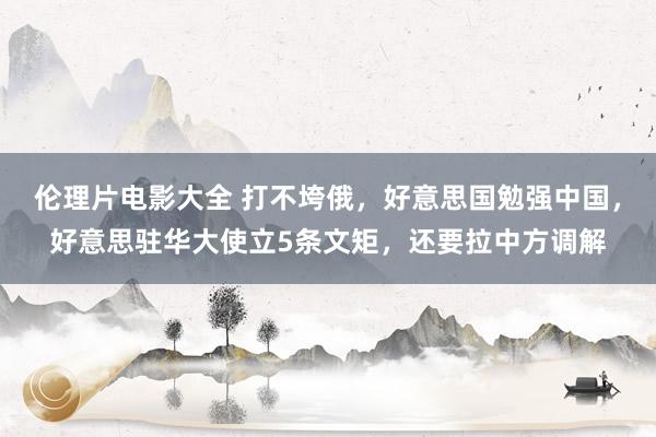 伦理片电影大全 打不垮俄，好意思国勉强中国，好意思驻华大使立5条文矩，还要拉中方调解