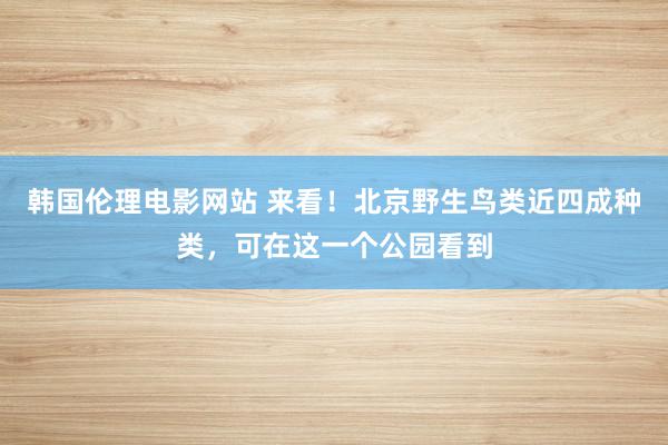 韩国伦理电影网站 来看！北京野生鸟类近四成种类，可在这一个公园看到