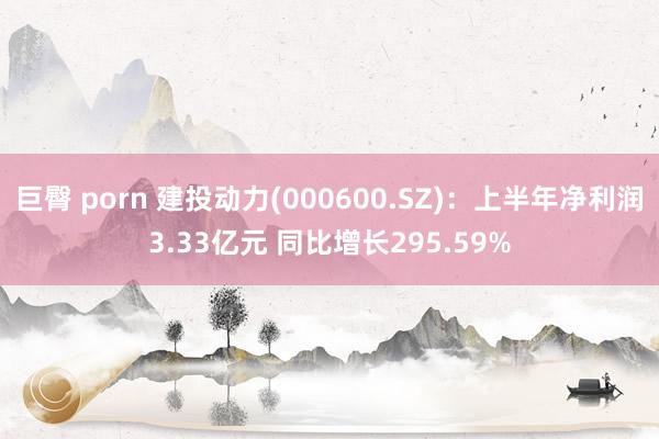 巨臀 porn 建投动力(000600.SZ)：上半年净利润3.33亿元 同比增长295.59%