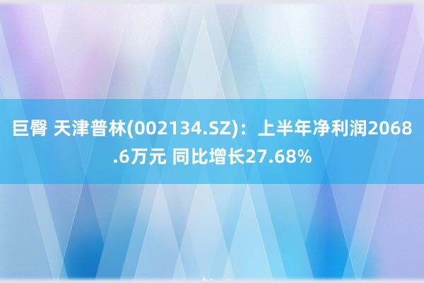 巨臀 天津普林(002134.SZ)：上半年净利润2068.6万元 同比增长27.68%